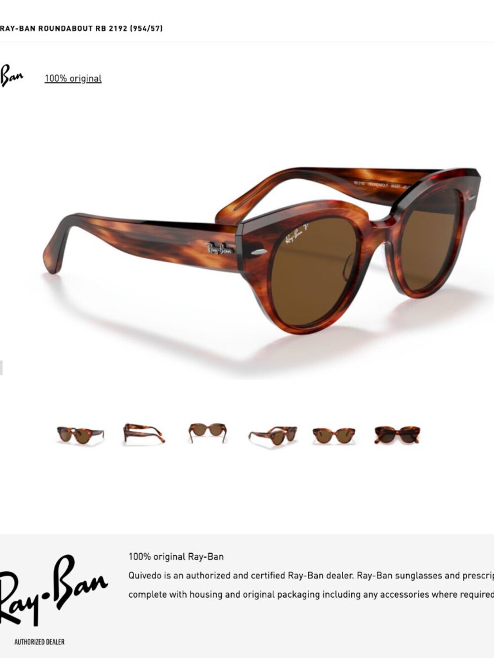Havana Brown Ray-Ban Roundabout Polarized Sunglasses - Oversized Eyewear Glasses - Picture 4 of 17
